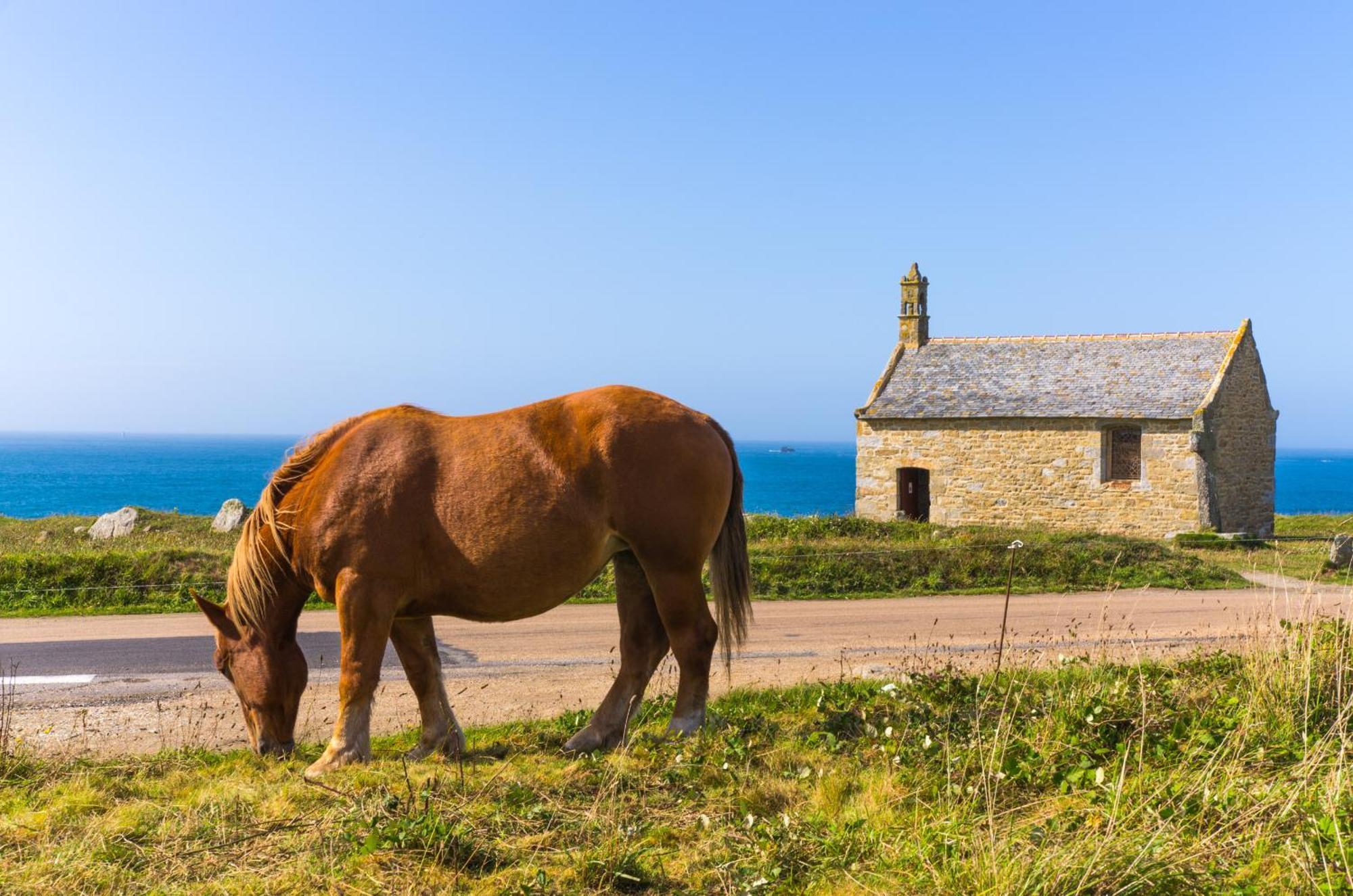 Ker Stivell - Superbe Maison Neuve A 2 Pas De La Mer Landunvez Exterior foto